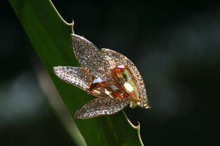 歌詩莉飾品 麥秸畫藝術點亮店鋪裝修，展現獨特產品魅力