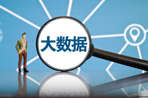 網(wǎng)絡(luò)安全軟件國產(chǎn)化 大數(shù)據(jù)時代下，八朵“金花”如何引領(lǐng)風(fēng)潮